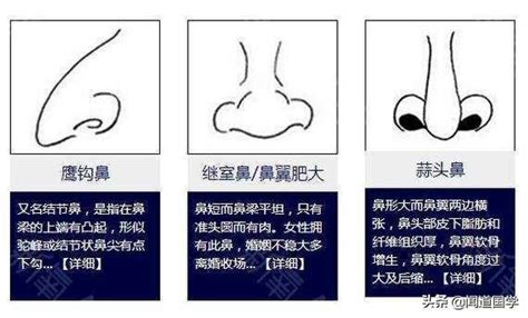 鼻子面向|相学最有福气的7种鼻子 面相中最有福气的7种鼻子